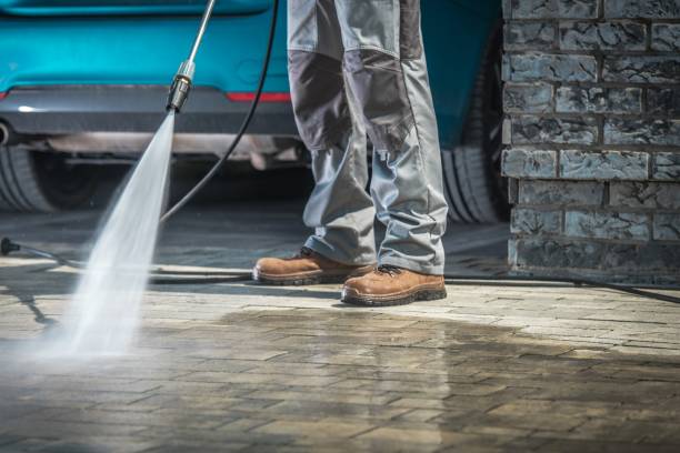 Best Roof Cleaning and Mildew Removal in Elgin, MN